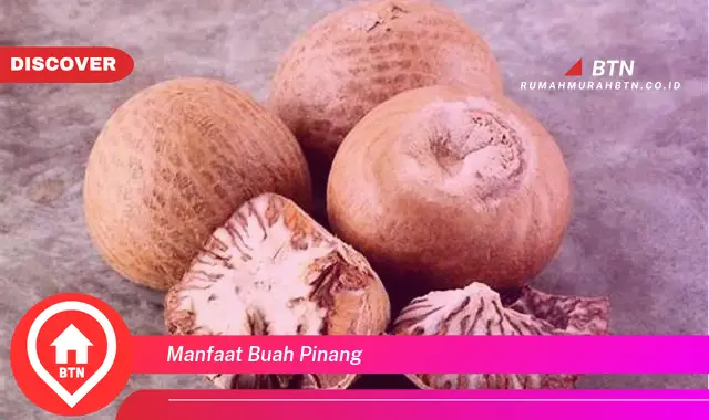 manfaat buah pinang