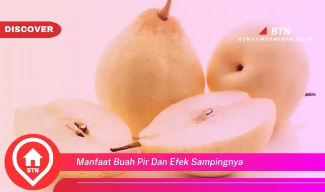 manfaat buah pir dan efek sampingnya