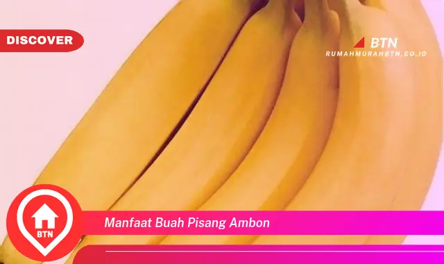 manfaat buah pisang ambon