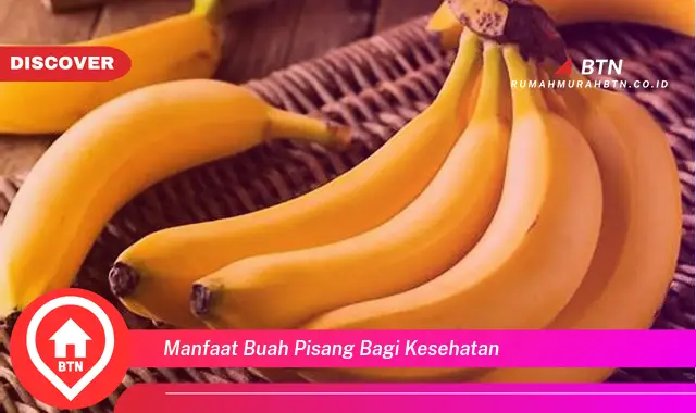 manfaat buah pisang bagi kesehatan