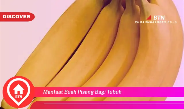 manfaat buah pisang bagi tubuh