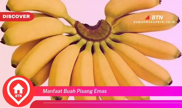 manfaat buah pisang emas