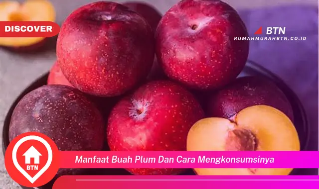 manfaat buah plum dan cara mengkonsumsinya