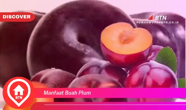 manfaat buah plum