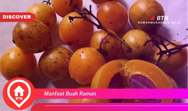 manfaat buah raman