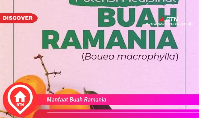 manfaat buah ramania