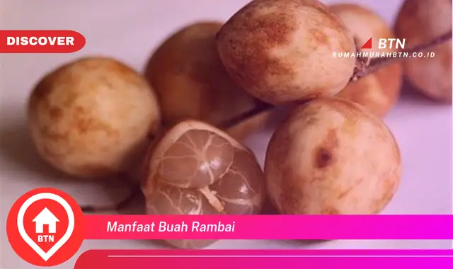 manfaat buah rambai