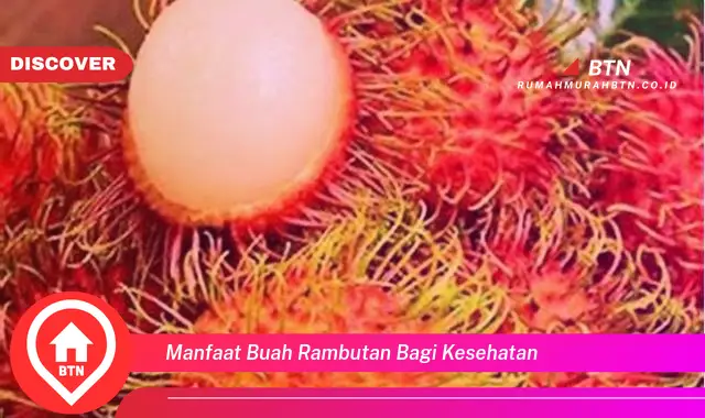 manfaat buah rambutan bagi kesehatan