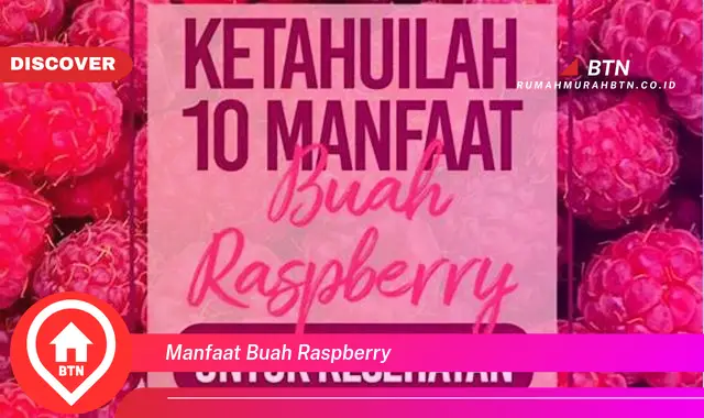 manfaat buah raspberry