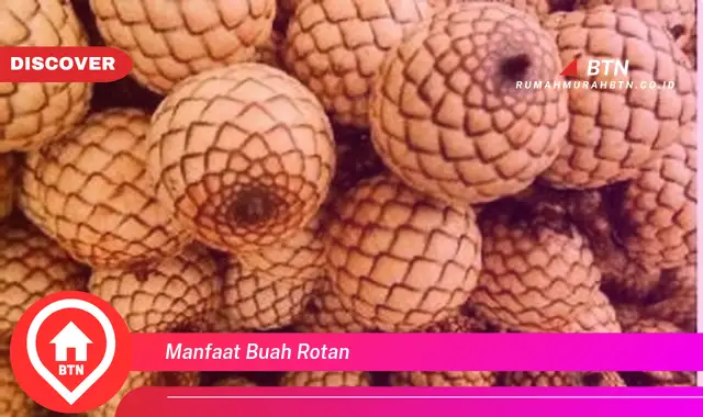 manfaat buah rotan