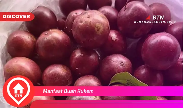 manfaat buah rukem