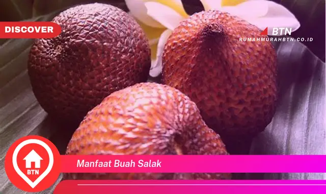 manfaat buah salak