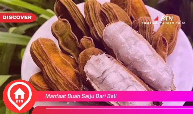 manfaat buah salju dari bali