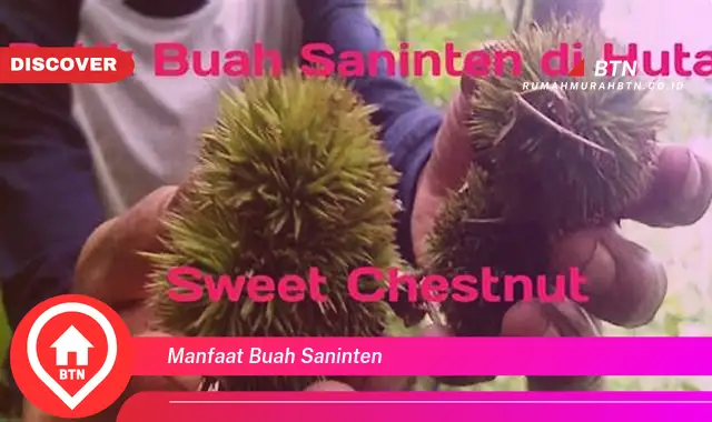 manfaat buah saninten