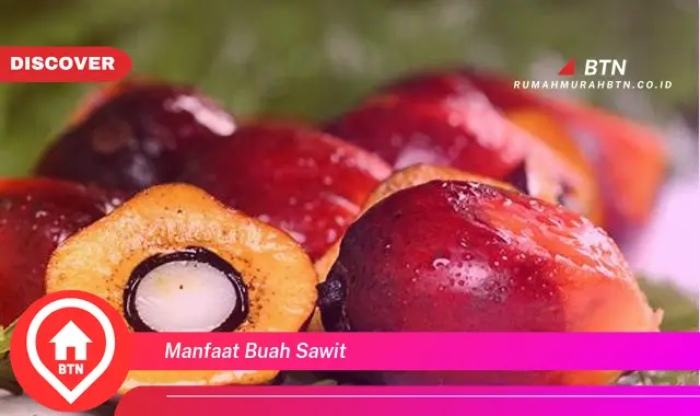 manfaat buah sawit