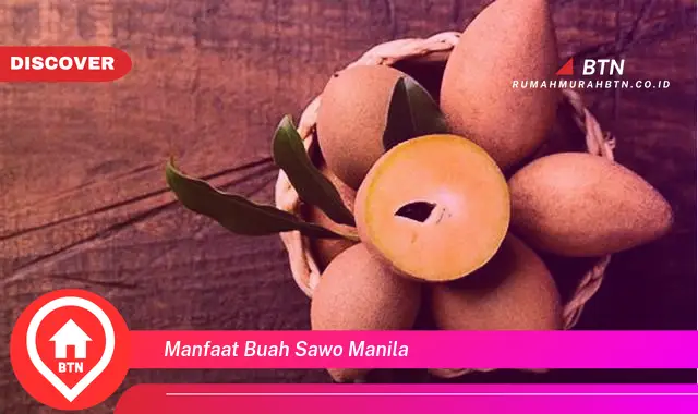 manfaat buah sawo manila