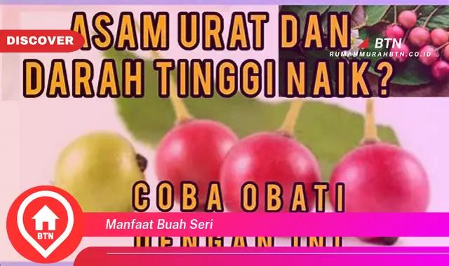 manfaat buah seri