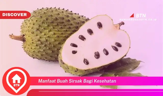 manfaat buah sirsak bagi kesehatan