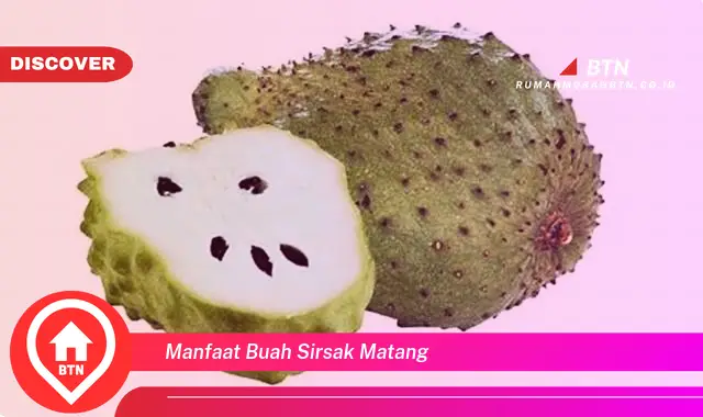 manfaat buah sirsak matang