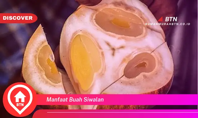 manfaat buah siwalan