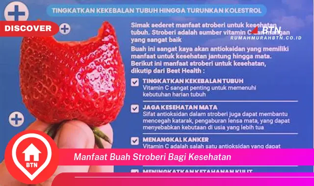 manfaat buah stroberi bagi kesehatan