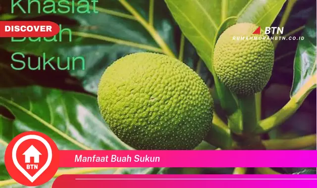 manfaat buah sukun