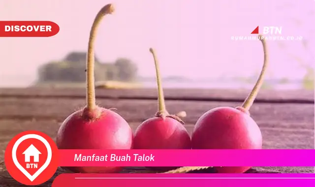 manfaat buah talok