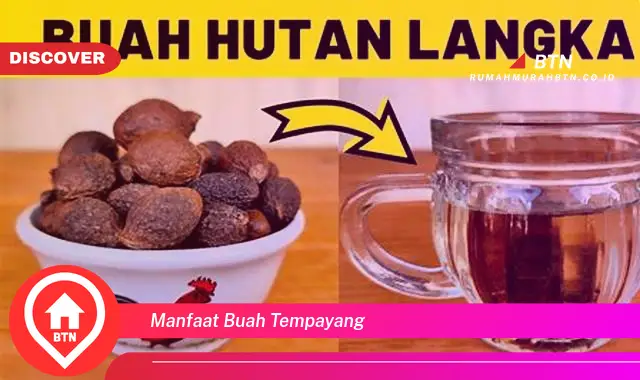 manfaat buah tempayang