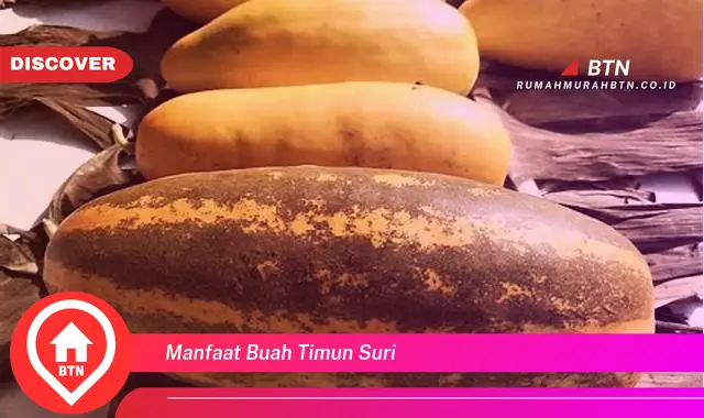 manfaat buah timun suri