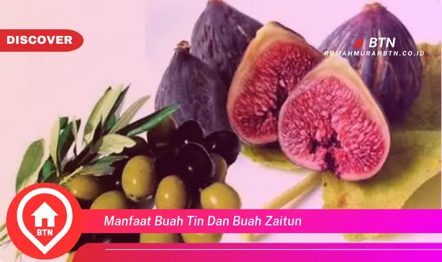 manfaat buah tin dan buah zaitun