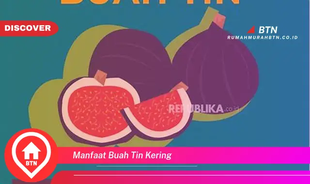 manfaat buah tin kering