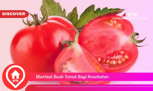 manfaat buah tomat bagi kesehatan