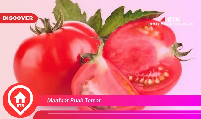 manfaat buah tomat