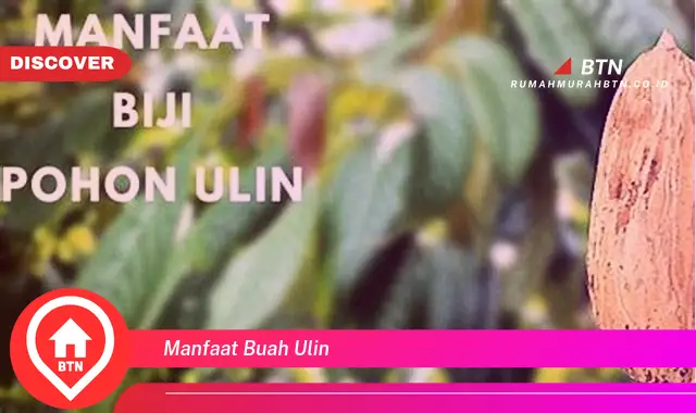 manfaat buah ulin