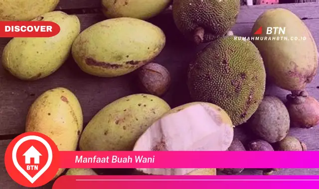 manfaat buah wani