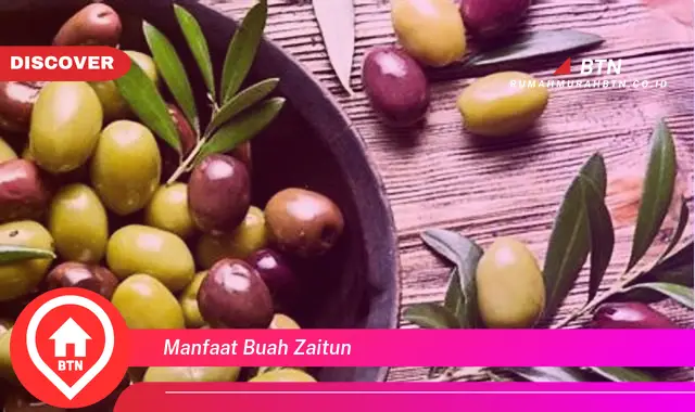 manfaat buah zaitun