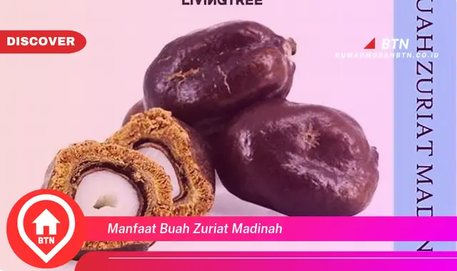 manfaat buah zuriat madinah