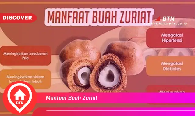 manfaat buah zuriat