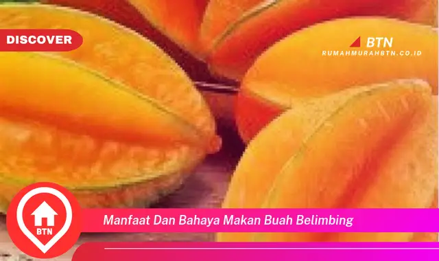 manfaat dan bahaya makan buah belimbing