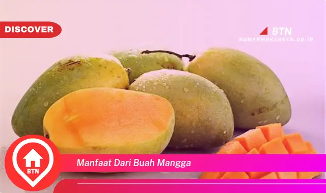 manfaat dari buah mangga