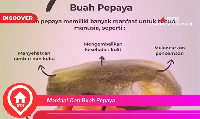 manfaat dari buah pepaya