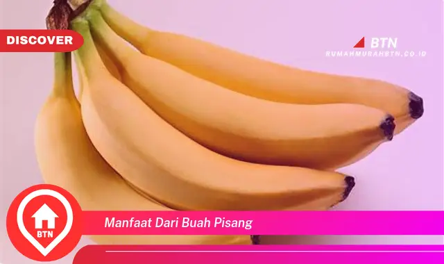 manfaat dari buah pisang