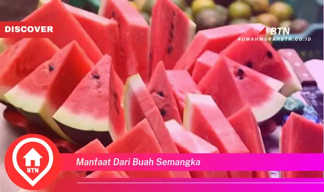 manfaat dari buah semangka