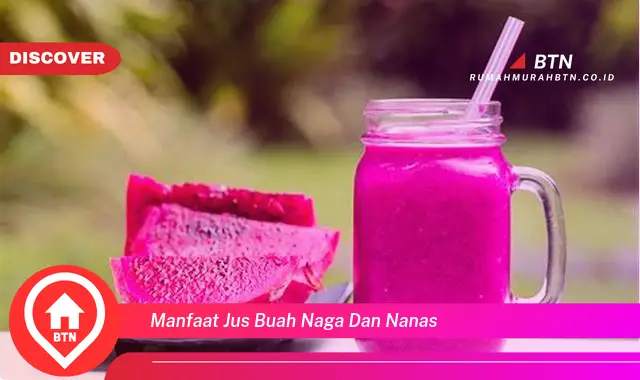 manfaat jus buah naga dan nanas