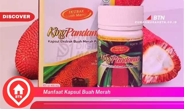 manfaat kapsul buah merah