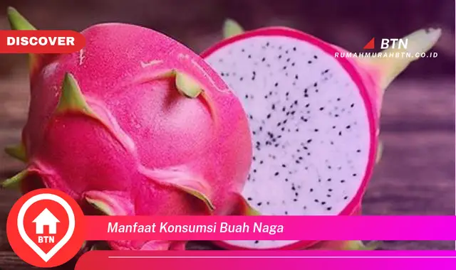 manfaat konsumsi buah naga