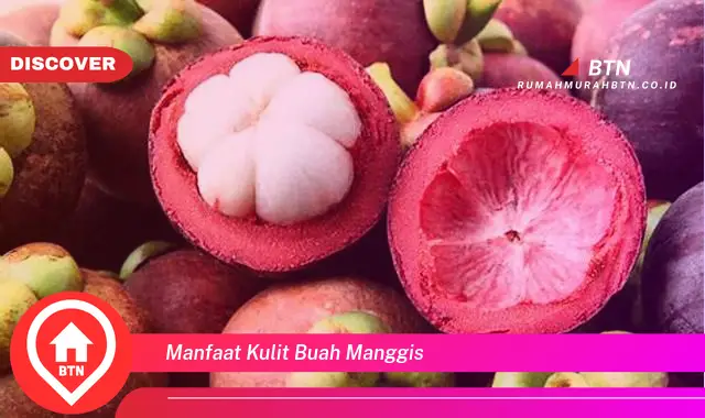 manfaat kulit buah manggis