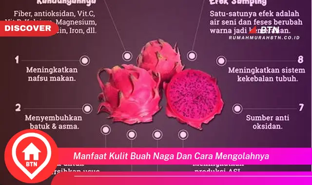 manfaat kulit buah naga dan cara mengolahnya