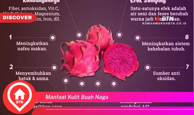 manfaat kulit buah naga