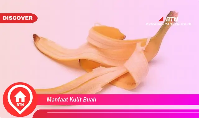 manfaat kulit buah